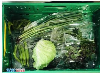 乐山启动食用农产品合格证制度试点 守护“舌尖安全”新起点